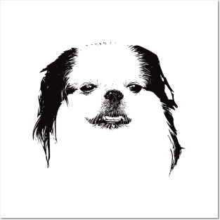 Japanese Chin gift for Japanese Spaniel Owners Posters and Art